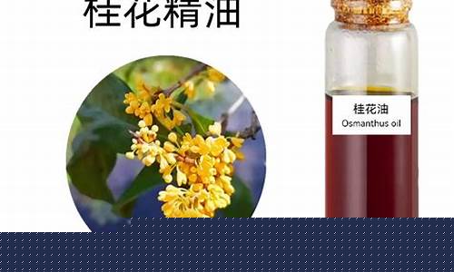 贵州省桂花油价格最新-桂花香油价格
