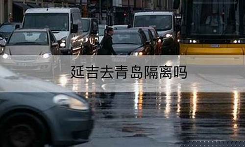 延吉汽油价-延吉油价调整了吗