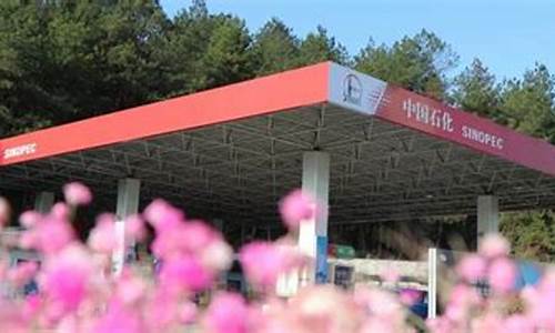中国石化今晚涨价吗-中国石化今晚油价调整么