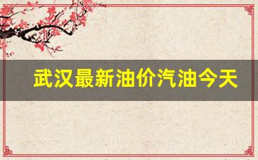 武汉最新油价汽油今天-武汉油价调整最新消息价格