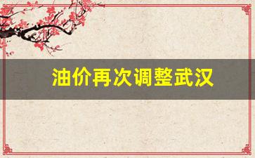 油价再次调整武汉-2020年武汉油价