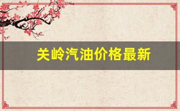 关岭汽油价格最新-关岭汽油价格最新表