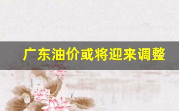 广东油价或将迎来调整吗-广东油价或将迎来