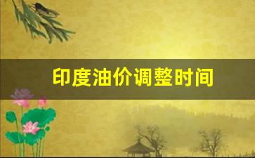 印度油价突破100卢比-印度油价调整时间